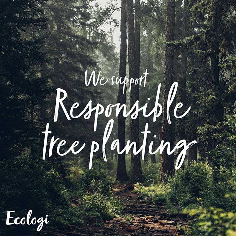 01_Responsible-tree-planting