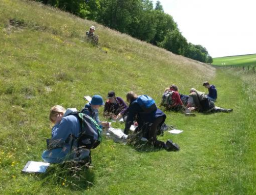 Local Wildlife Sites Surveyours 2015